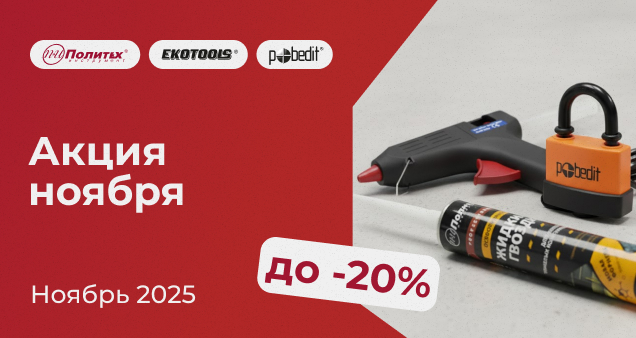 Акция ноября 2025